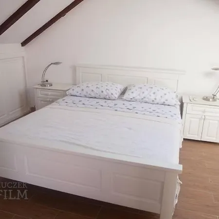 Agava * ורבוסקה