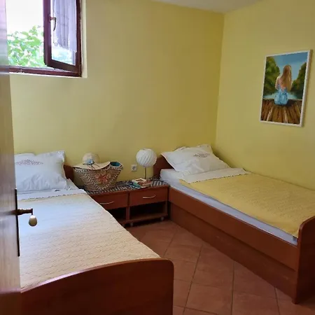 Agava ורבוסקה