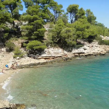 Agava * ורבוסקה