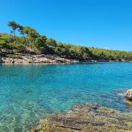 Agava * فربوسكا